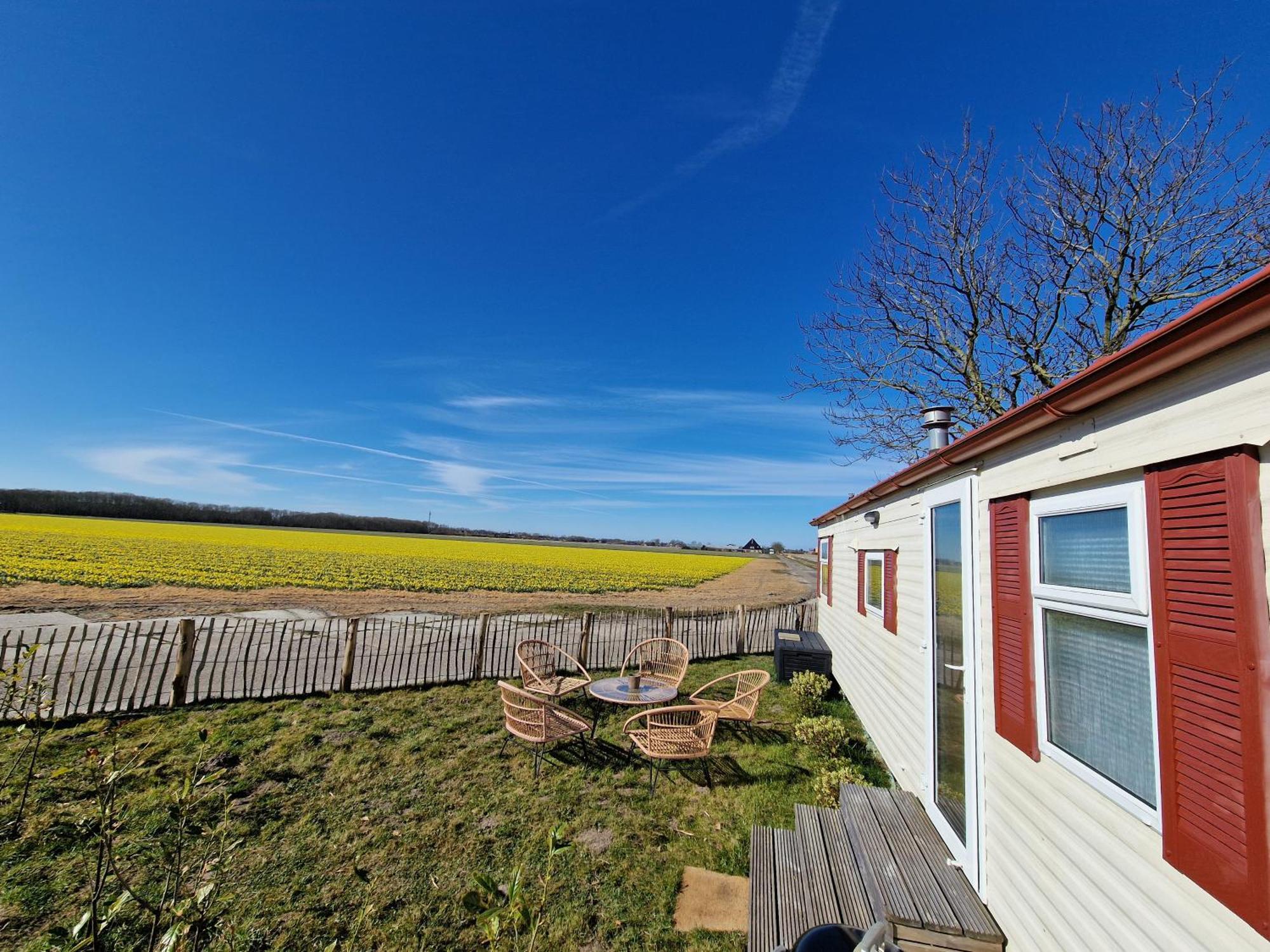 Chalet 'Como La Flor' Julianadorp Flowerfields Overview! المظهر الخارجي الصورة